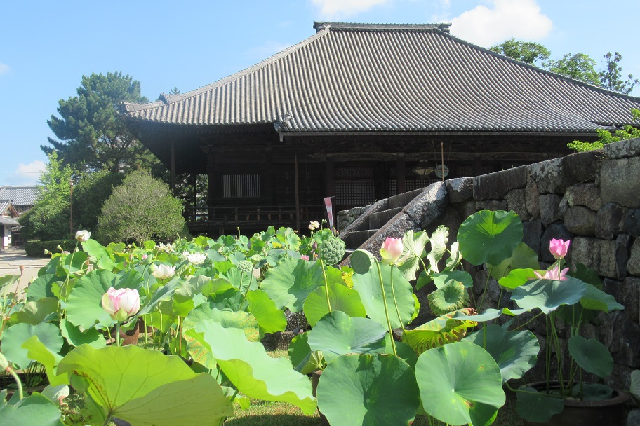 西大寺（奈良）　蓮の花を巡るロータスロードと特別ご朱印