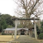 丹生酒殿神社（和歌山県）の御朱印と樹齢800年の大銀杏