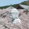 壷阪寺（奈良）　桜大仏を見に行ってきました【御朱印】