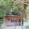 腰神神社（富田林市）　樹齢700年余りの藤の老樹がスゴイ！楠木正成公ゆかりの腰の神様