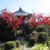 宝瓶院（和泉市）　紅葉が美しい松尾寺の塔頭寺院