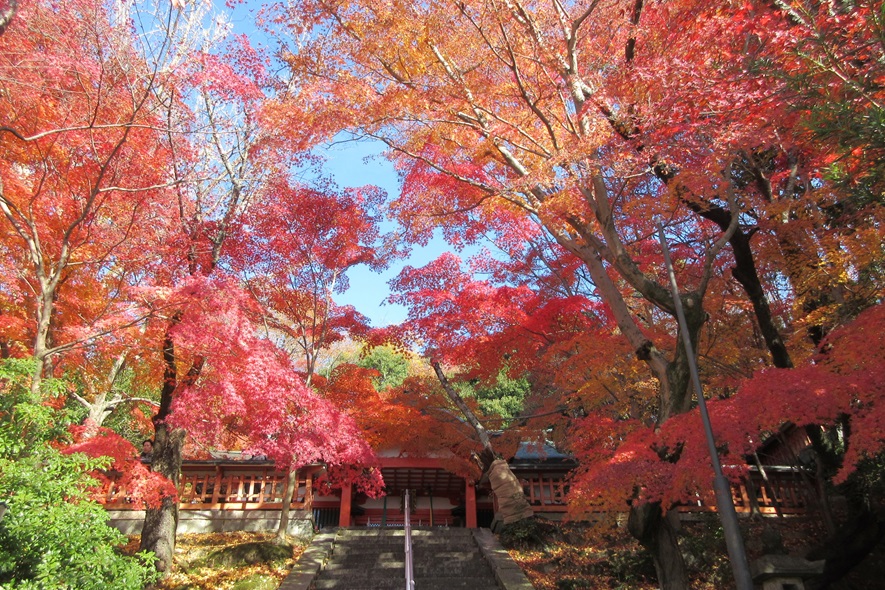 瑜伽神社（奈良市）　奈良の秋を極める紅葉の穴場スポット！【御朱印】