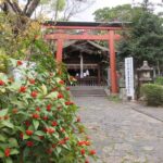 漢國神社（奈良市）　日本に初めて饅頭を伝えた林浄因を祀る林神社【御朱印】