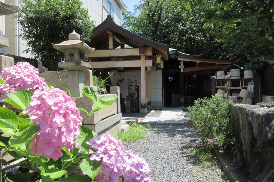 釈迦院の境内に咲くあじさい｜季節の彩りが静寂に寄り添う
