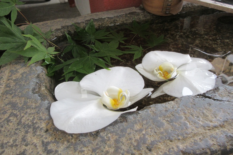 善福寺