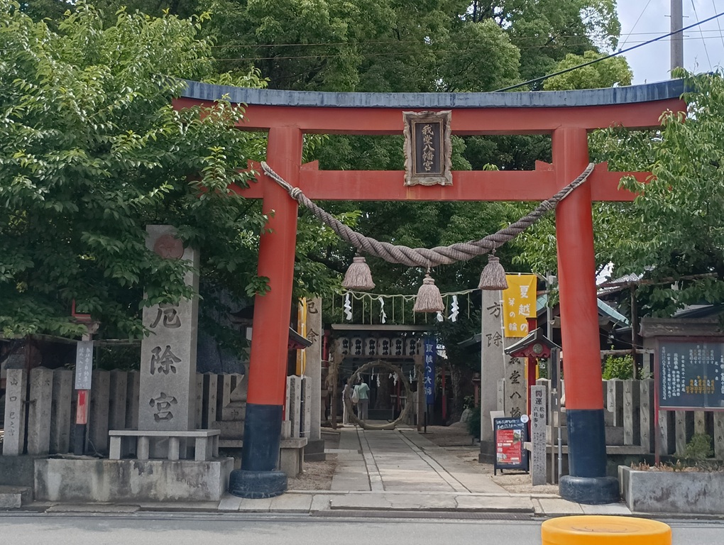 我堂八幡宮|松原市の厄除け神社で御朱印と楠の祈りに出会う
