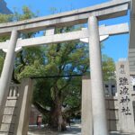 難波神社（大阪）完全ガイド｜ご利益・御朱印・アクセス・見どころまとめ
