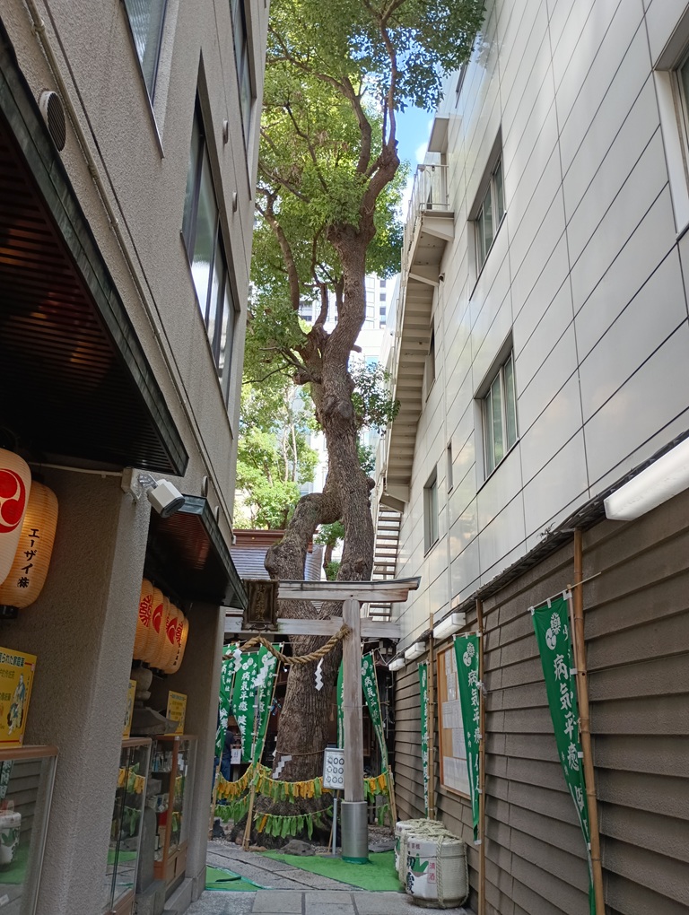 少彦名神社の参道