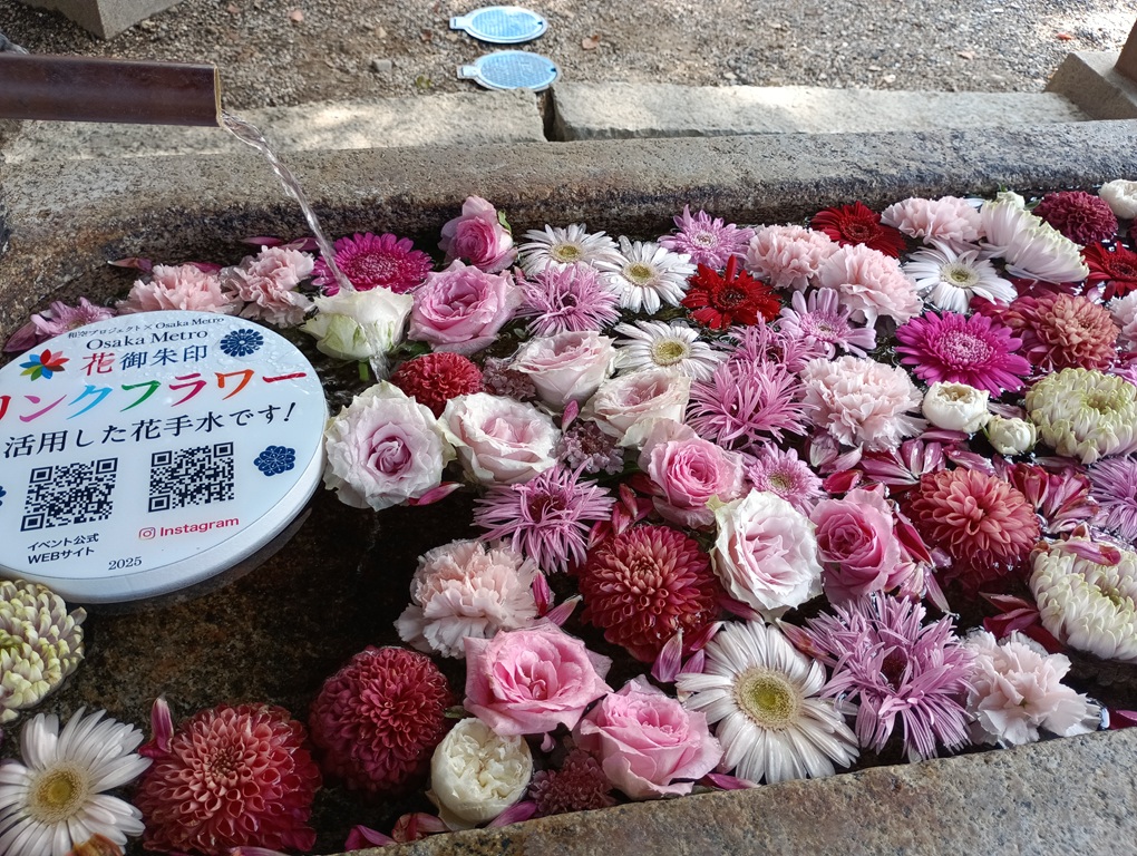 百舌鳥八幡宮の手水鉢に彩られた季節の花