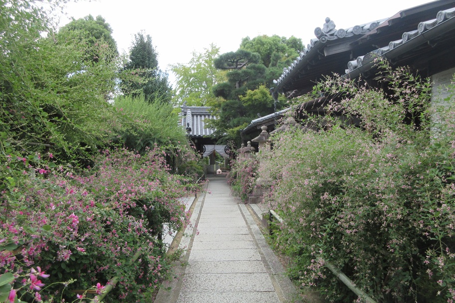 花の小径に足を踏み入れると、時がゆるやかに流れはじめる萩露園の風景
