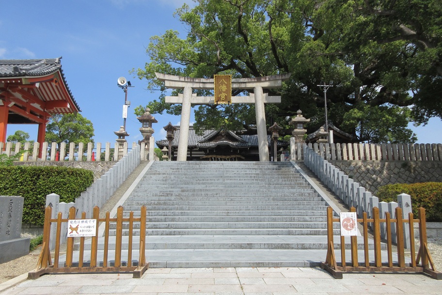 百舌鳥八幡宮（堺市）｜大楠と季節の花御朱印にふれる静かな祈りをめぐる旅