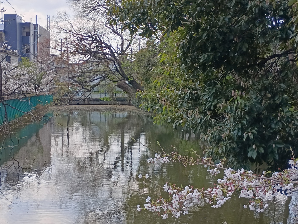 御野縣池