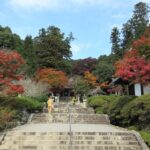 【保存版】河内長野の寺社めぐり|歴史と四季を楽しむ神社・お寺12選