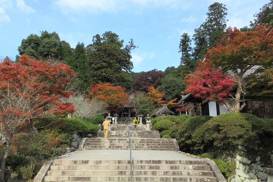 【保存版】河内長野の寺社めぐり|歴史と四季を楽しむ神社・お寺12選
