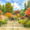 【保存版】河内長野の寺社めぐり｜歴史と四季を楽しむ神社・お寺12選